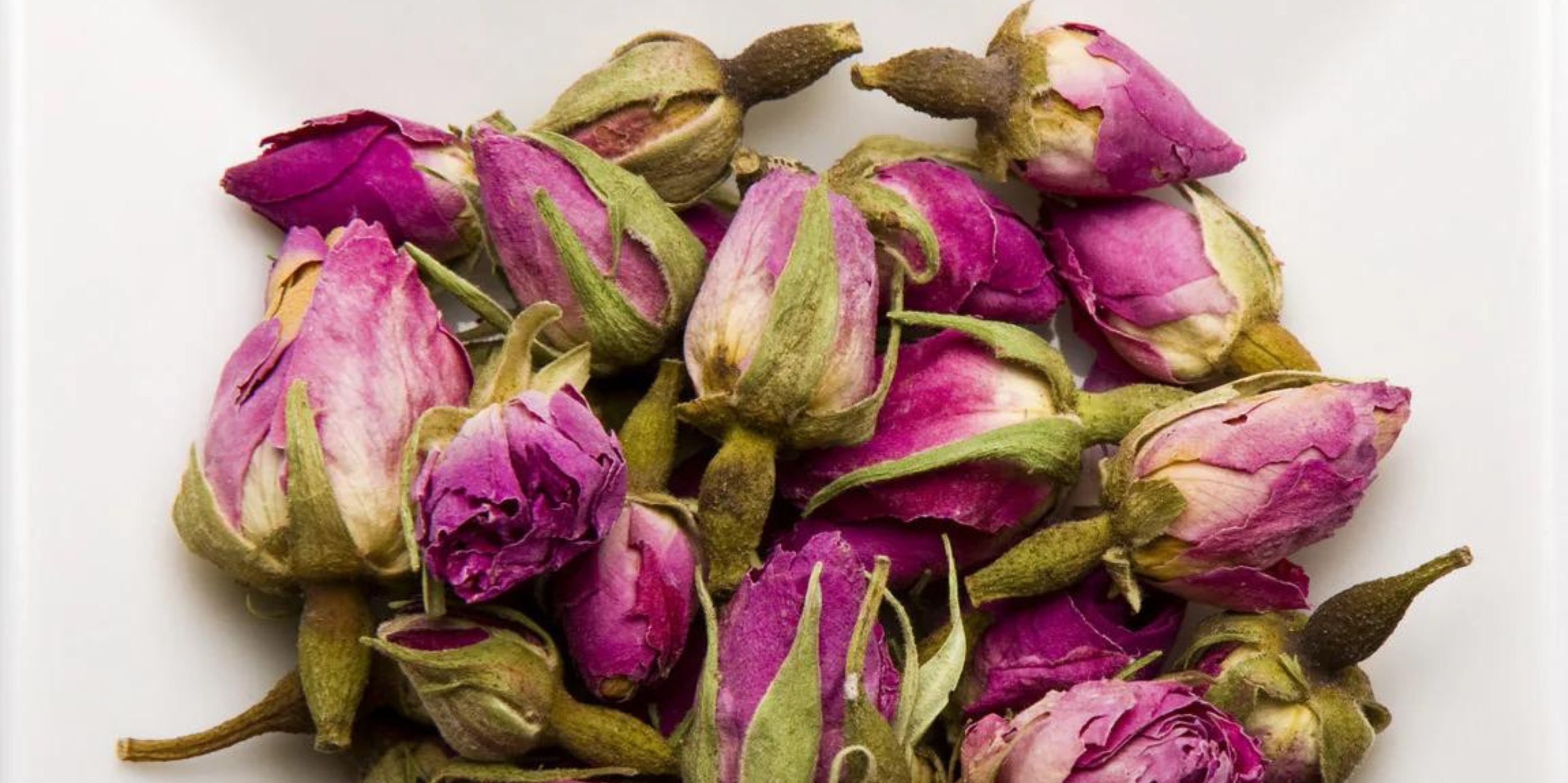 گل محمدی زرملل